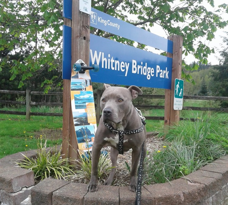 whitney-bridge-park-photo